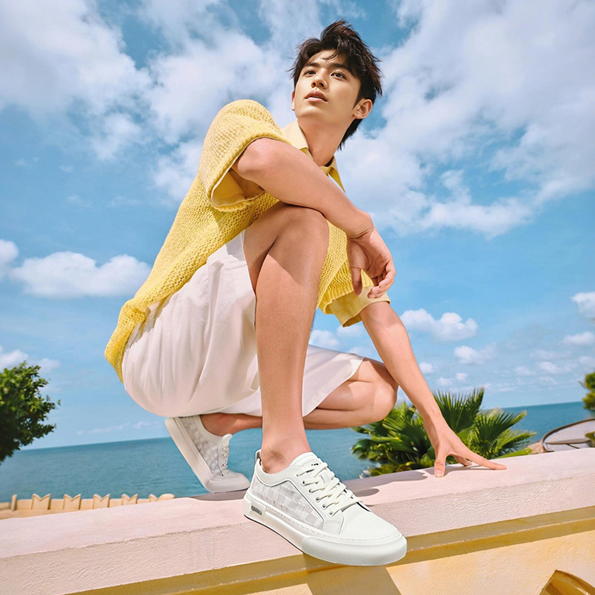 All White Low Top Casual Plaid Skate Shoes - Image 6